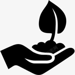 planting手种植Windows8icons图标高清图片