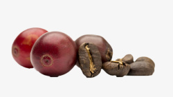 西域神果暗红色咖啡果和咖啡豆实物高清图片