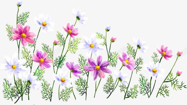 创意手绘水彩植物花朵png免抠素材_新图网 https://ixintu.com 创意 植物 水彩 花朵