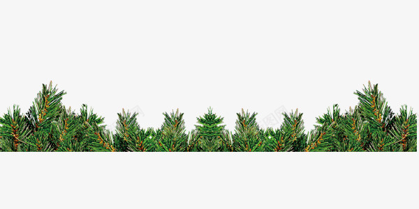绿色的装饰草png免抠素材_新图网 https://ixintu.com 圣诞矢量 圣诞矢量图 圣诞矢量素材 圣诞素材 圣诞素材库 绿色 装饰草