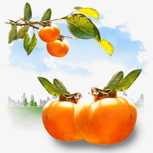 水果柿子我的7个图标png免抠素材_新图网 https://ixintu.com Fruits persimmon 柿子 水果 黄柿