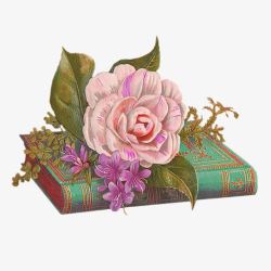 字典花朵素材