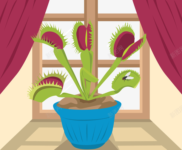 创意插画窗台食人花彩绘位图图形矢量图ai免抠素材_新图网 https://ixintu.com 位图图形 创意 创意插画窗台食人花彩绘位图图形矢量图免费下载 彩绘 插画 植物 窗台 食人花 矢量图