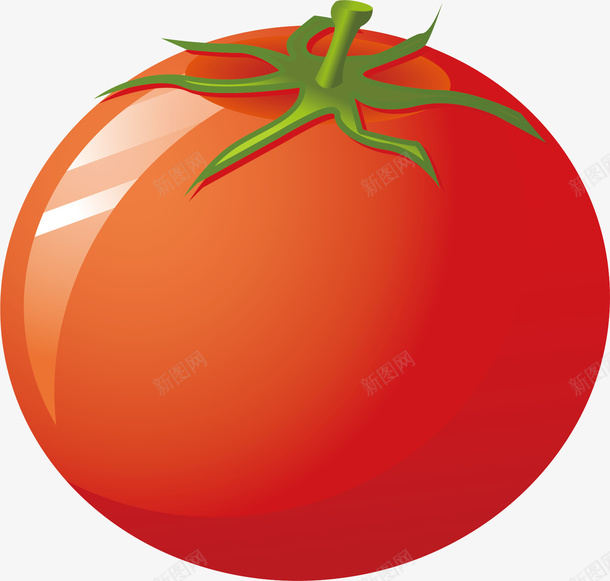 番茄西红柿矢量图eps免抠素材_新图网 https://ixintu.com 创意 番茄 西红柿 矢量图