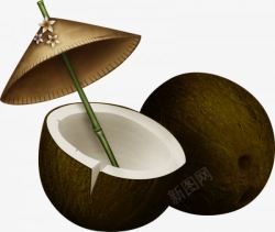 海南椰子素材