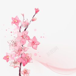东南亚花水彩粉色的花高清图片