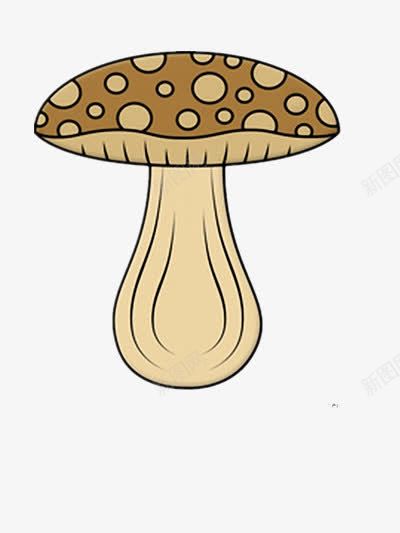 一个大蘑菇png免抠素材_新图网 https://ixintu.com 灰色 美味 菌类 营养