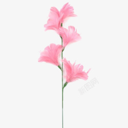手绘粉色水彩小清新花卉素材