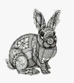 手绘复杂线条黑白逼真兔子素材
