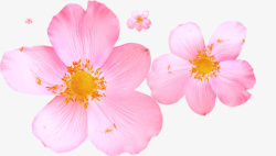 粉红色花朵图案素材