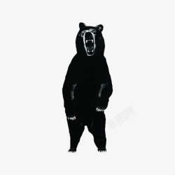 熊瞎子黑熊高清图片