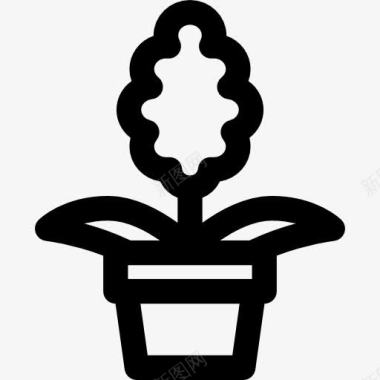 风信子图标图标