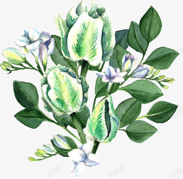 绿植装饰png免抠素材_新图网 https://ixintu.com 叶子 植物 矢量装饰 绿植 装饰 装饰画