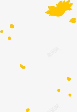 黄色花朵花卉片素材