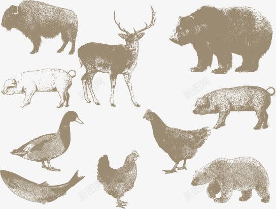 复古动物png免抠素材_新图网 https://ixintu.com 免费矢量下载 复古动物 家禽 手绘动物 绘画
