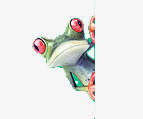 青蛙3D手绘素材
