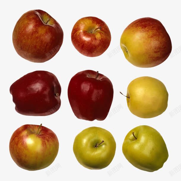 九个苹果png免抠素材_新图网 https://ixintu.com png 产品实物 水果 红色 青苹果