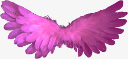紫红色翅膀紫红色翅膀装饰图高清图片