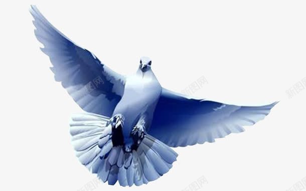 蓝色和平鸽翱翔png免抠素材_新图网 https://ixintu.com 和平鸽 翱翔 蓝色和平鸽 装饰