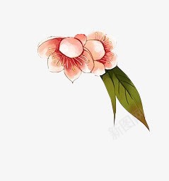 粉色手绘水彩花朵绿叶png免抠素材_新图网 https://ixintu.com 水彩 粉色 绿叶 花朵
