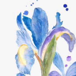 彩绘水仙种子矢量图蓝色水仙花彩绘高清图片