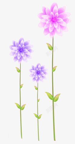 手绘紫蓝色婚礼花朵素材