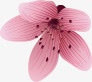 花式png免抠素材_新图网 https://ixintu.com 一朵花 新鲜的花朵 粉色的花 花朵花卉