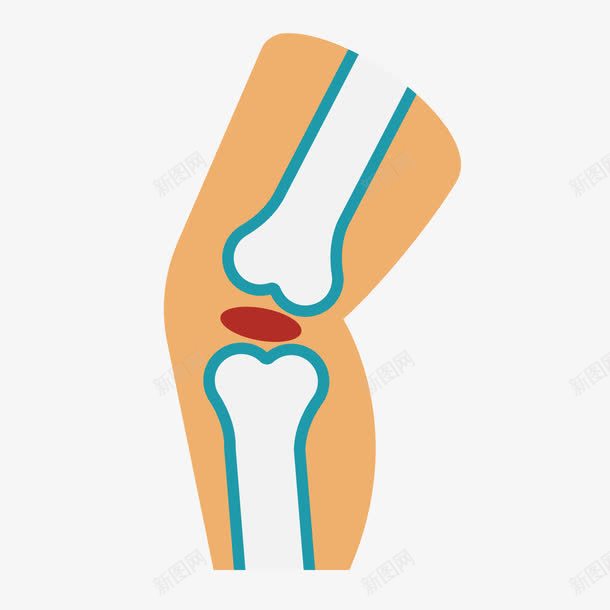 黄色关节png免抠素材_新图网 https://ixintu.com 健康 关节 黄色