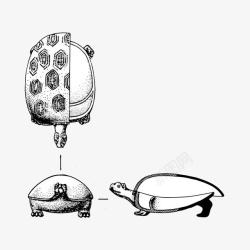 龟形容器手绘龟形容器高清图片