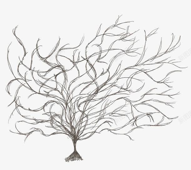 干枯的树枝png免抠素材_新图网 https://ixintu.com 干燥 树木 线条