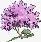紫色唯美乔木植物素材