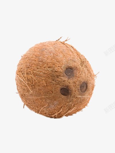 椰子png免抠素材_新图网 https://ixintu.com 椰肉 水果 海南椰子