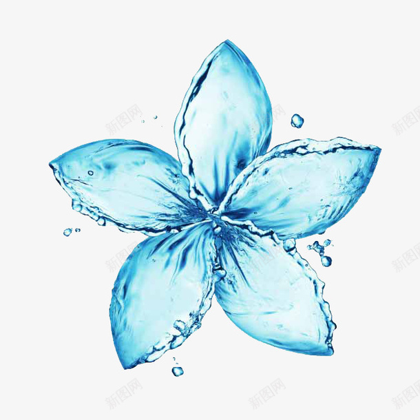 水性花朵png免抠素材_新图网 https://ixintu.com 水型花朵 水形态 花卉 花朵