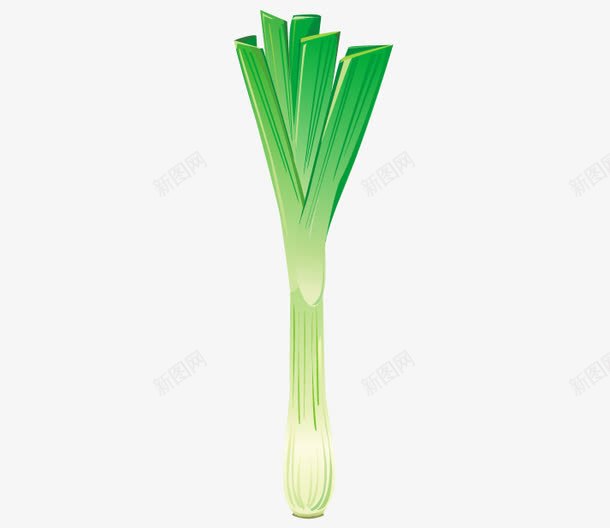 葱png免抠素材_新图网 https://ixintu.com green onion 一颗葱 插画葱 葱