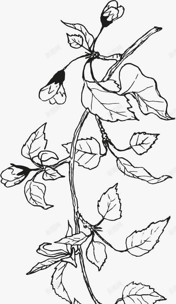 黑色手绘花朵树叶png免抠素材_新图网 https://ixintu.com 树叶 花朵 设计 黑色