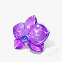 质感晶莹剔透的紫色花朵素材