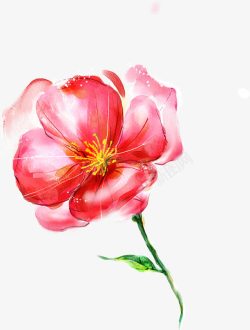 创意手绘水彩红色的花朵植物素材