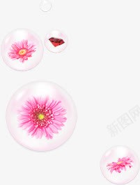 透明气泡花朵png免抠素材_新图网 https://ixintu.com 气泡 花朵 透明