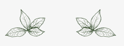 绿色手绘叶子植物素材