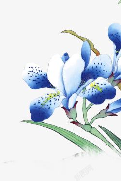 插画蓝色花朵效果素材