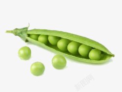 绿色豌豆素材