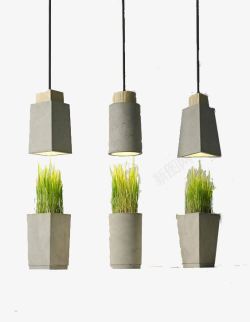 吊灯与植物素材