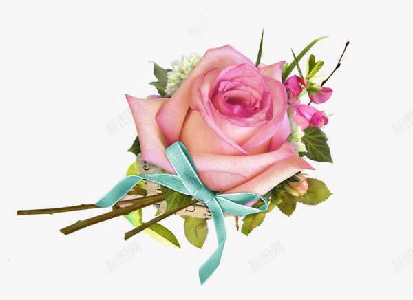 粉色玫瑰装饰图案png免抠素材_新图网 https://ixintu.com 图案装饰 玫瑰 粉色 粉色玫瑰 装饰图案