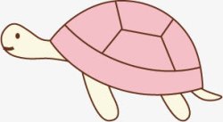粉色的描绘乌龟素材