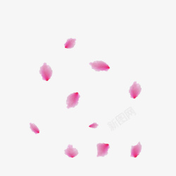 粉桃花桃花瓣一片一片高清图片