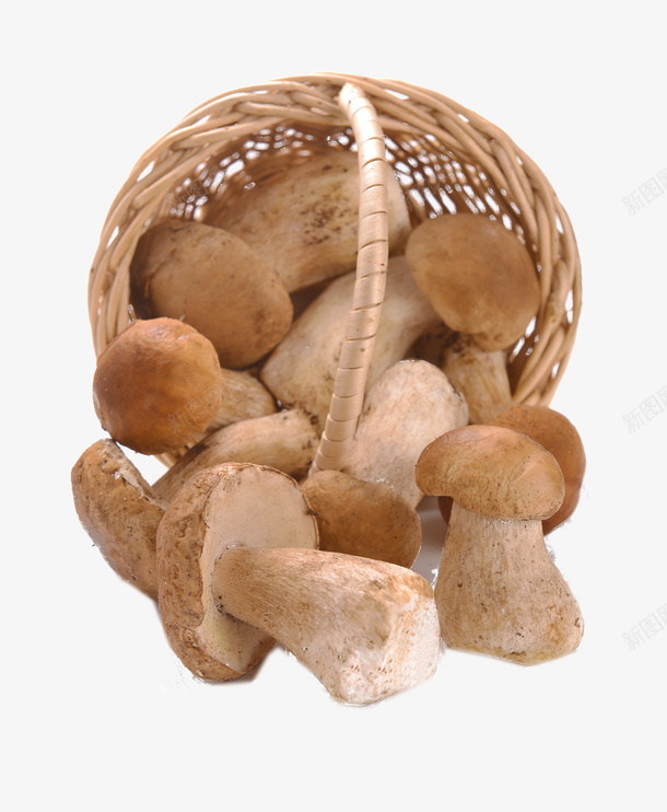 篮框里的蘑菇png免抠素材_新图网 https://ixintu.com 篮框 蘑菇 食物