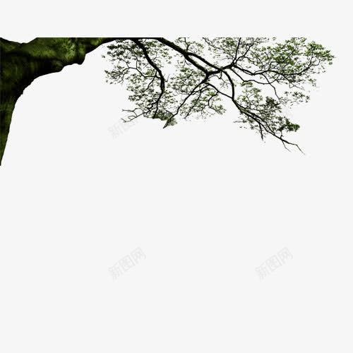 置顶树木png免抠素材_新图网 https://ixintu.com 假树 树木 画面 置顶