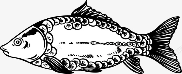 手绘鱼矢量图图标图标