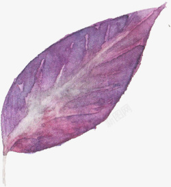 紫色树叶水彩素材