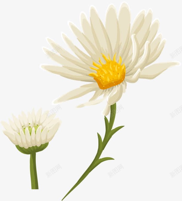 两点小白花png免抠素材_新图网 https://ixintu.com 植物 白色 素雅 花朵 鲜花
